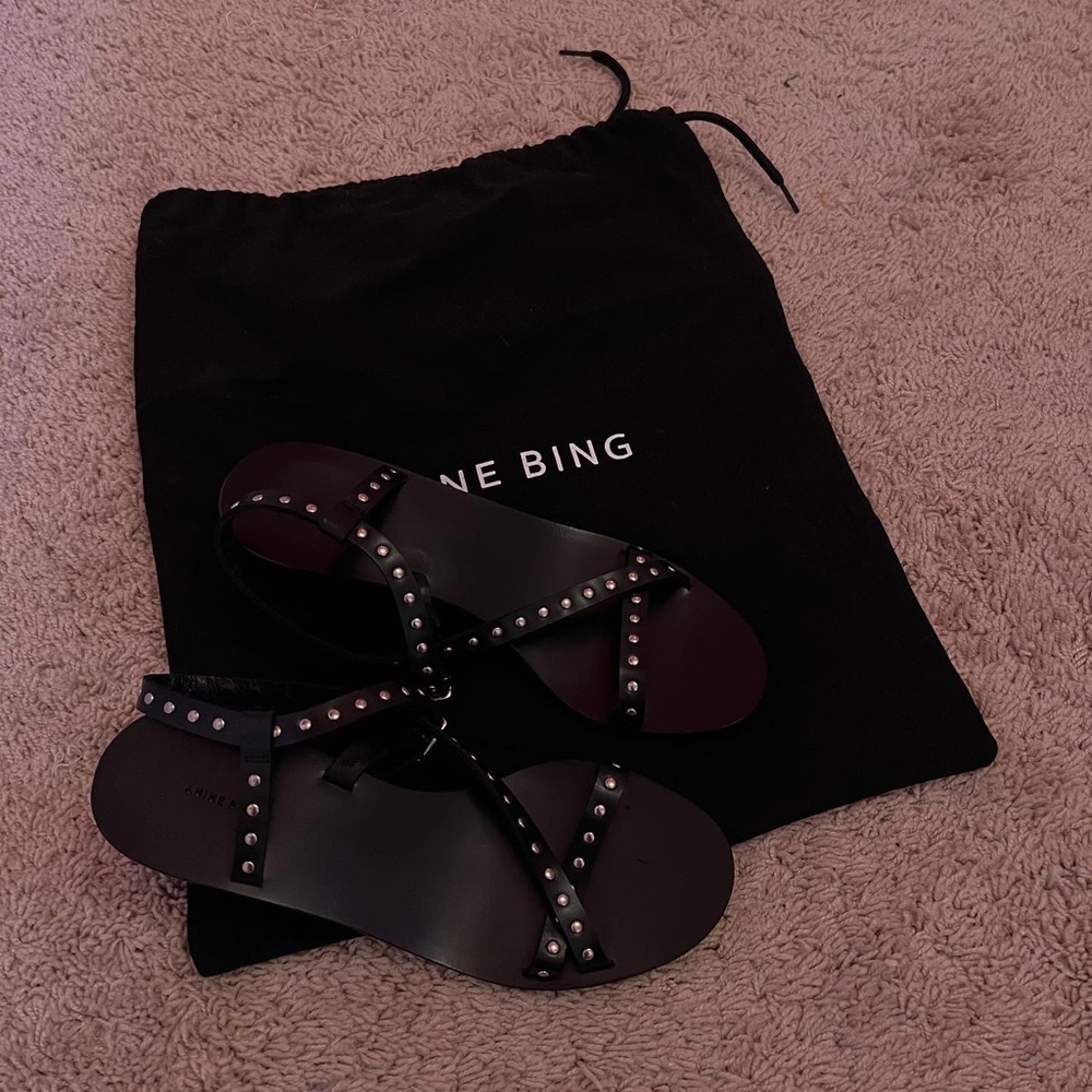 Anine Bing Remi Heel Sandals
